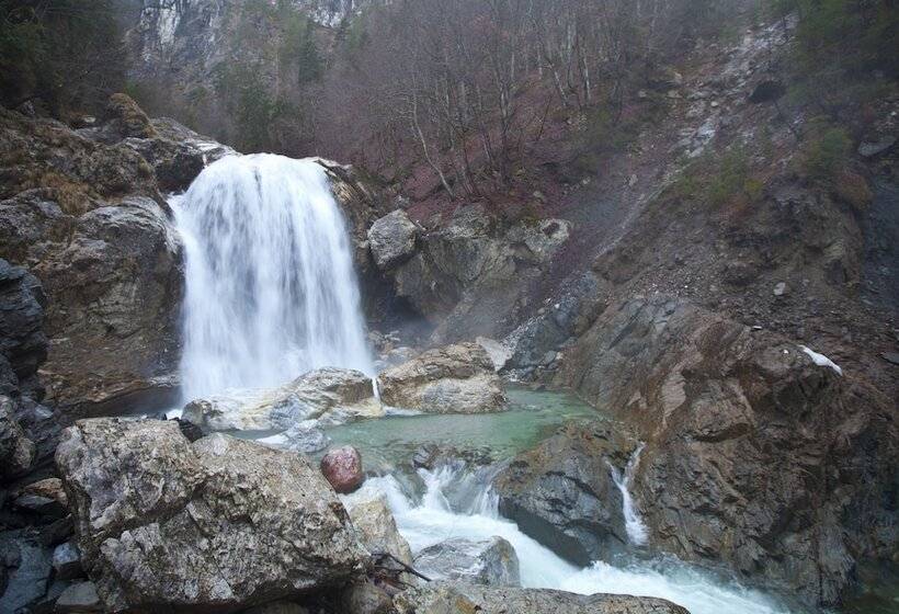 فندق Pension & Apartments Waldkrieber