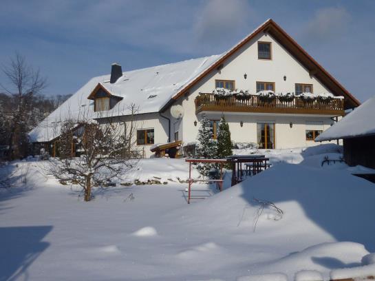 ホテル Pension Grünes Herz