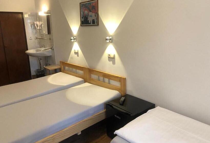 酒店 Pension Schmellergarten