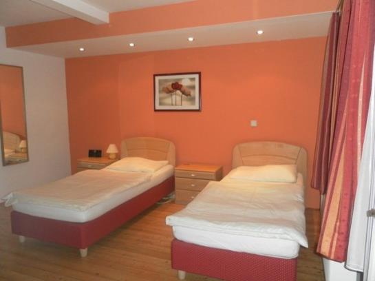 فندق Pension Winzerhaus