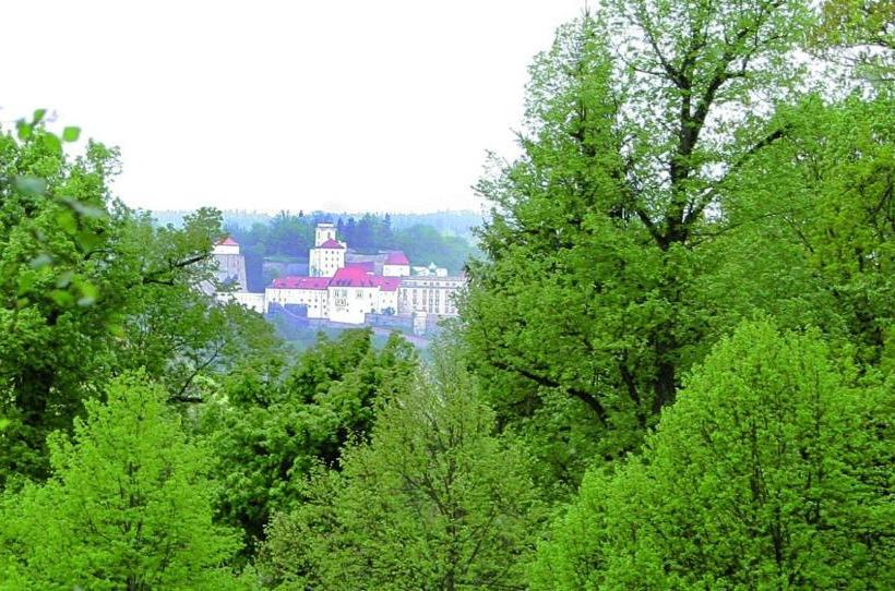 호텔 & Restaurant Waldschloss