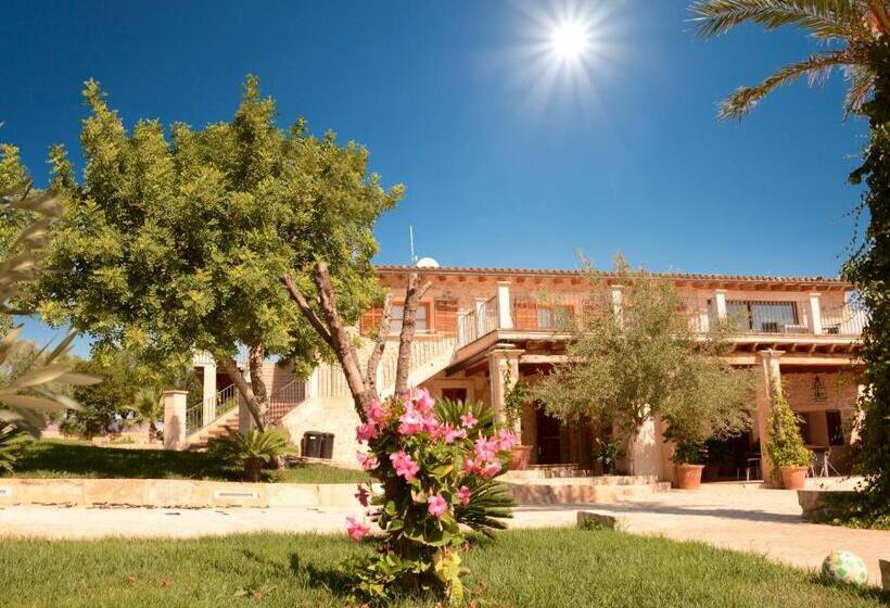 교외 호텔 Agroturismo Son Burgues