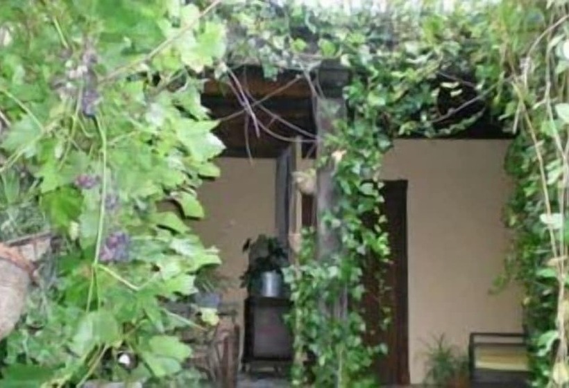 هتل روستایی Bisabuela Martina