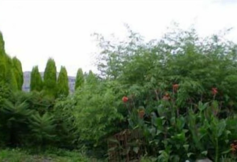 هتل روستایی Bisabuela Martina