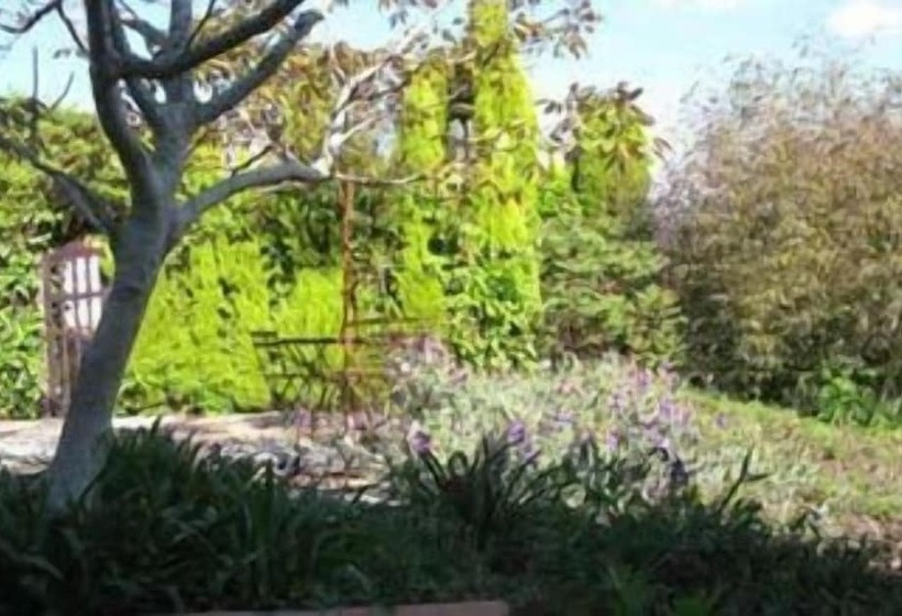 هتل روستایی Bisabuela Martina