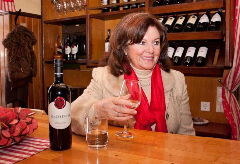 هتل Schneider Gössl