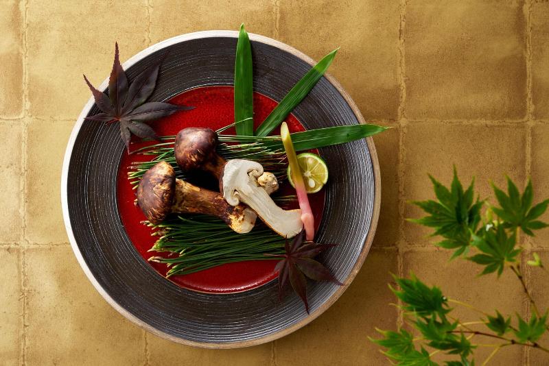 בית מלון כפרי Shiratamano Yu Senkei