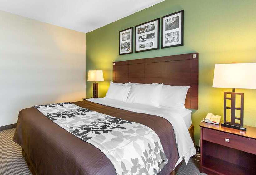 酒店 Sleep Inn & Suites Bush Intercontinental Iah East