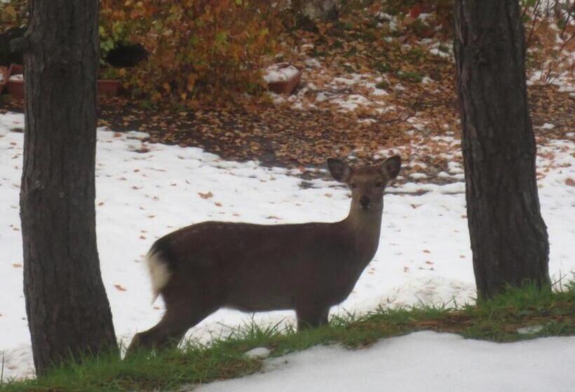 Отель 森の雫rin Morinoshizukurin