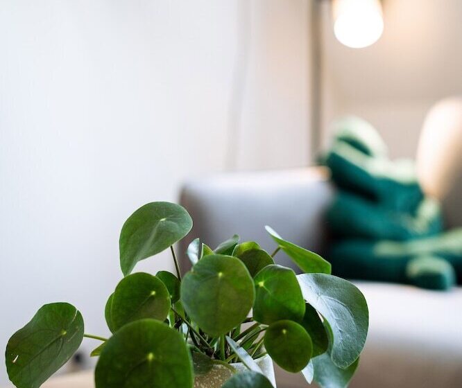 هتل Urban Jungle Apartments