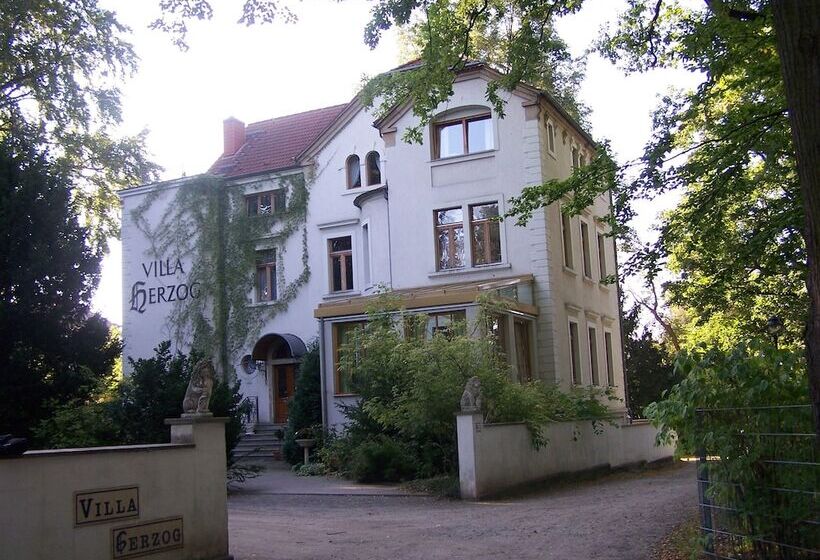 호텔 Villa Herzog