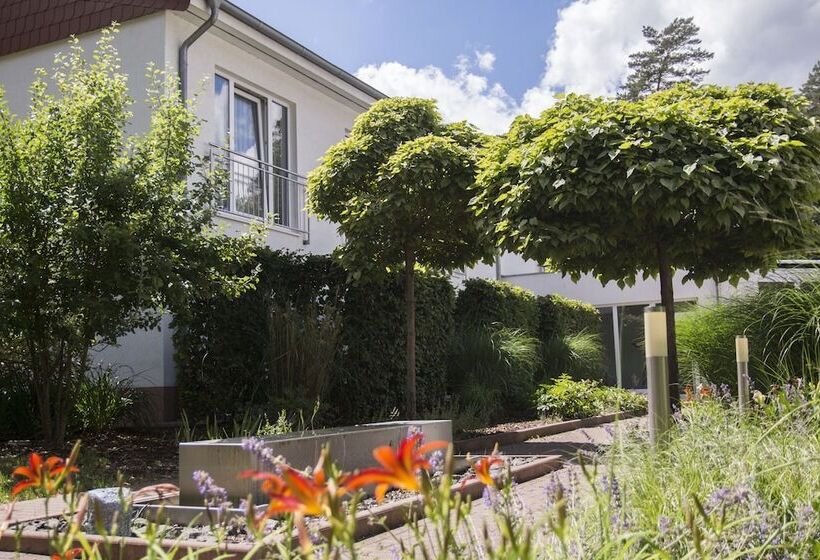 فندق Waldidyll Rabenhorst