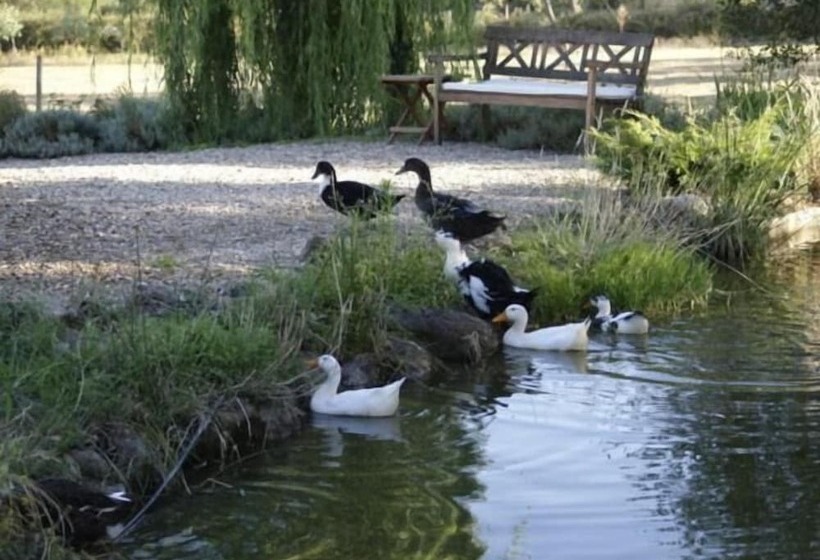 La Casona De Valfrío