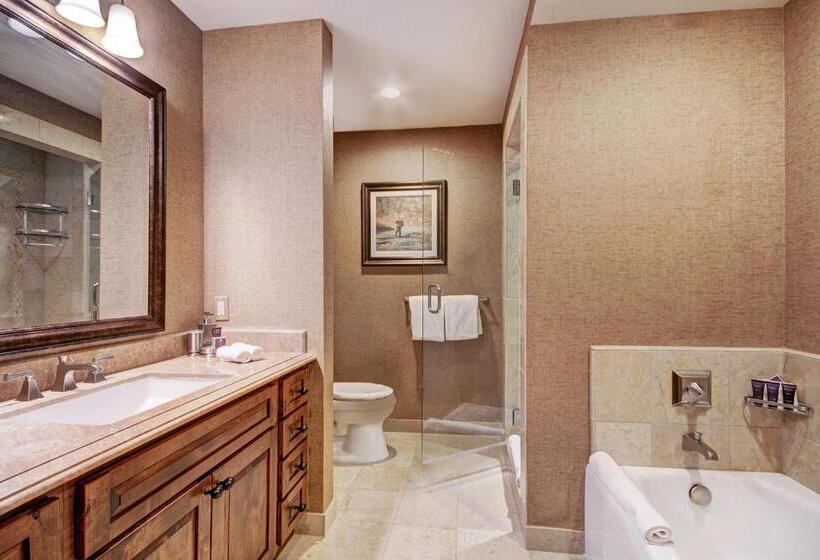 The Vail Collection At The Ritz Carlton Residences Vail