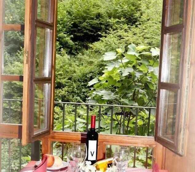 Apartamentos Aguasaliu