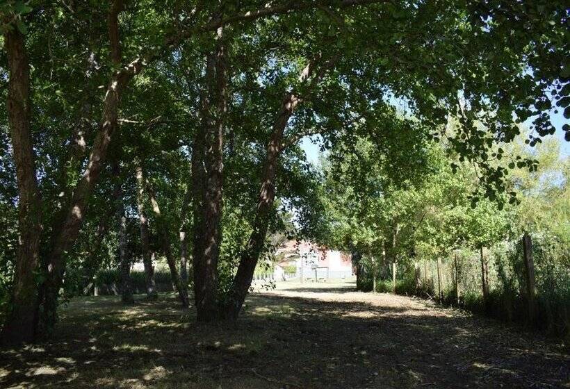 Apartamentos Vida Finisterre