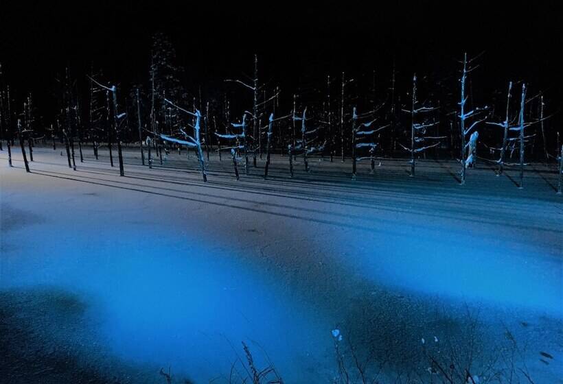 Biei Shirogane Onsen Hotel Park Hills