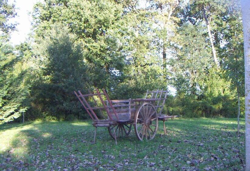 فندق Château De La Coutancière