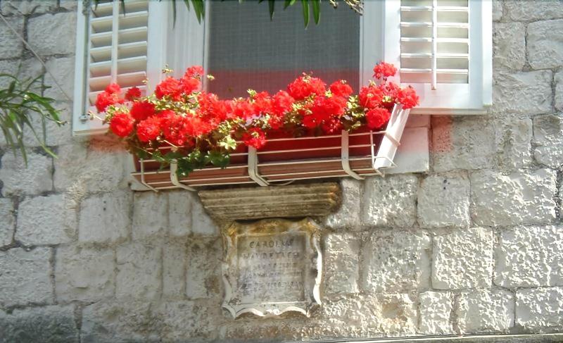 פונדק Carol Rooms