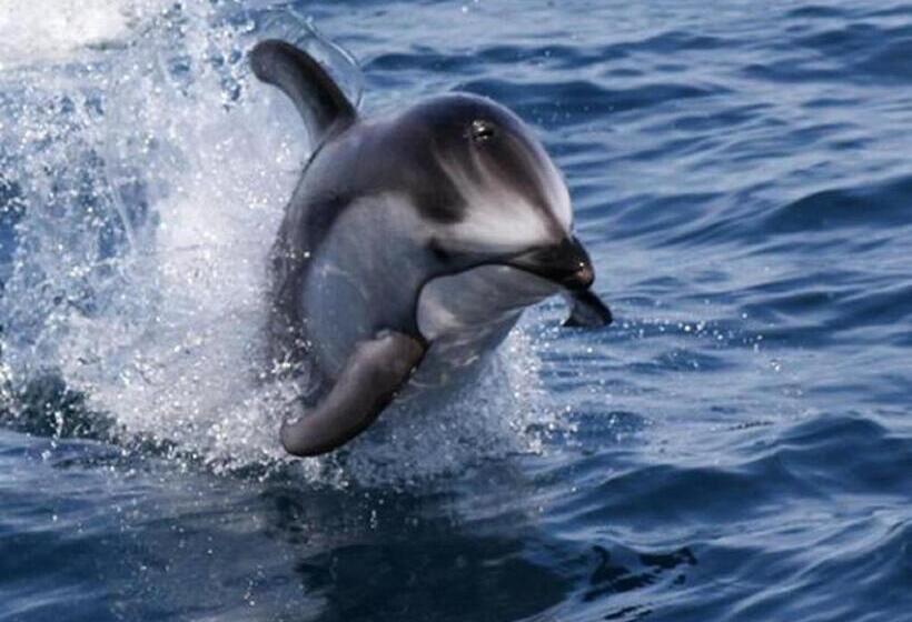 בית מלון כפרי Abashiri Kanko