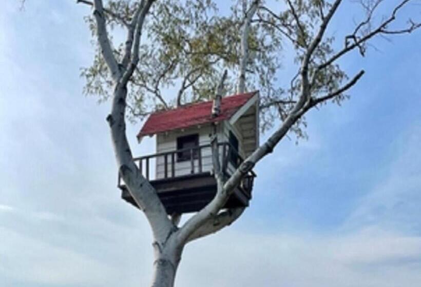 בית מלון כפרי Abashiri Kanko