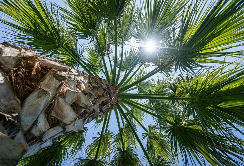 فندق Almyros Beach