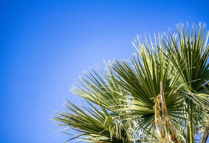 فندق Almyros Beach