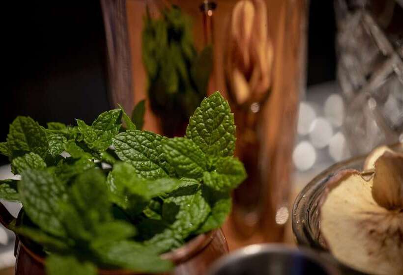 호텔 Aloft Brussels Schuman