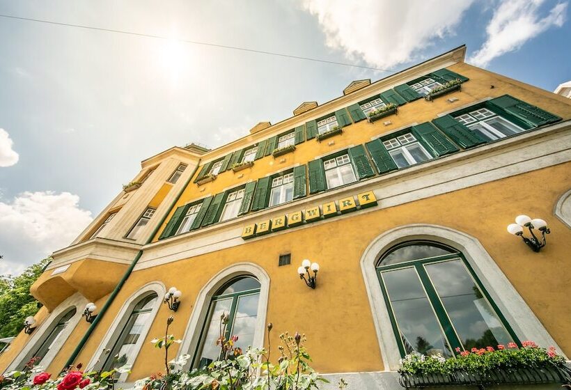 هتل Bergwirt Schönbrunn