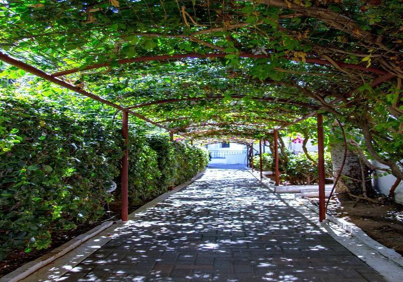 Lyda Club Hotel   All Inclusive