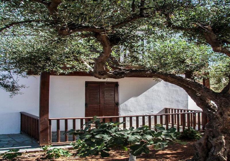 Lyda Club Hotel   All Inclusive