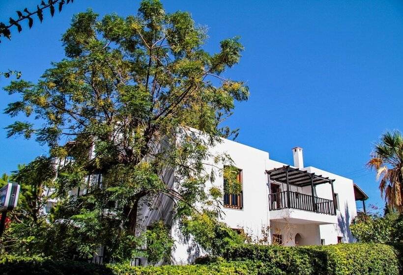 Lyda Club Hotel   All Inclusive