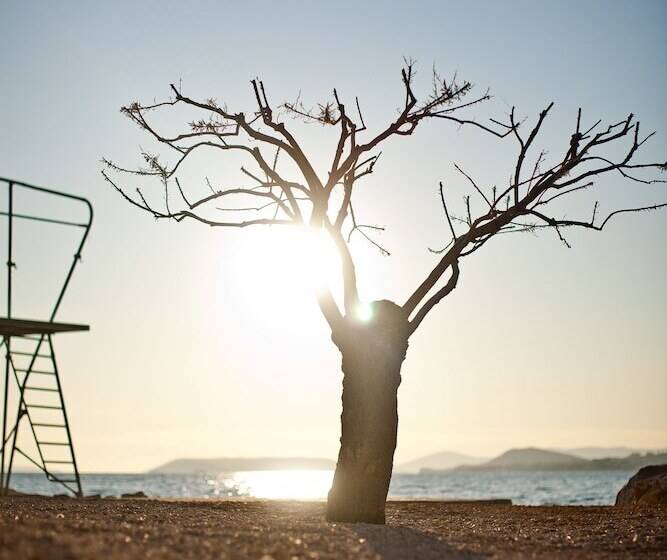 בית מלון כפרי Gala Split