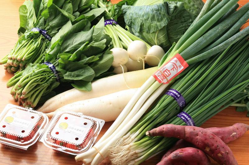 酒店 Hakone Pax Yoshino