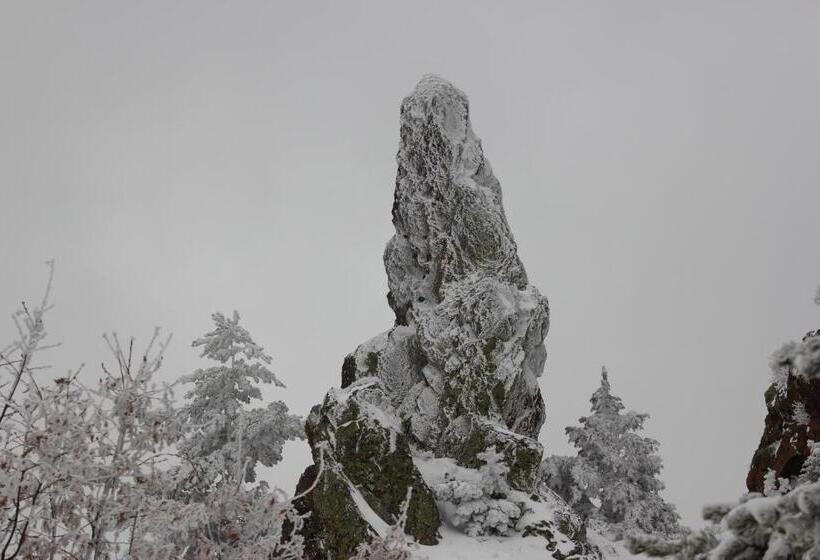 בית מלון כפרי Hostal Isabel