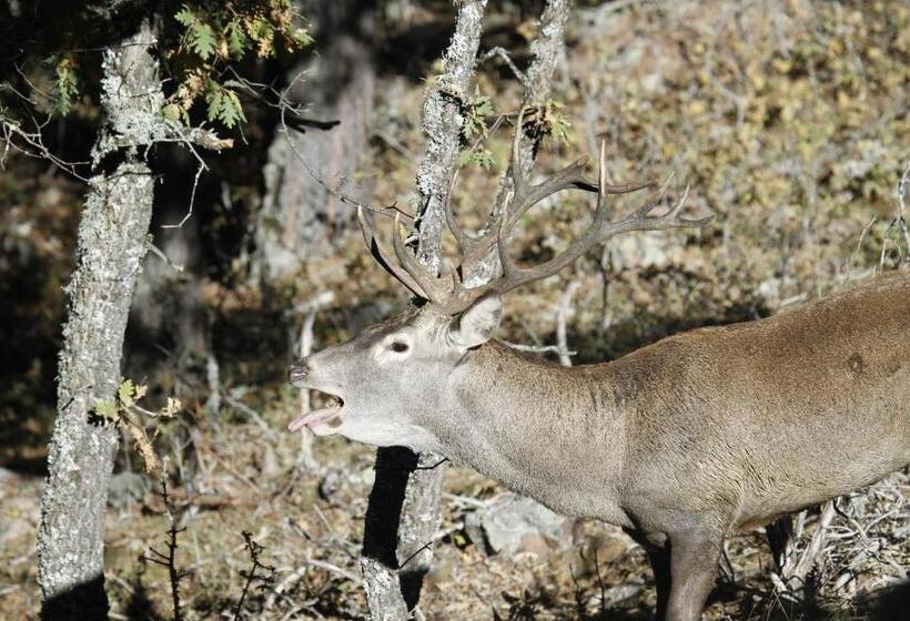 בית מלון כפרי Hostal Isabel