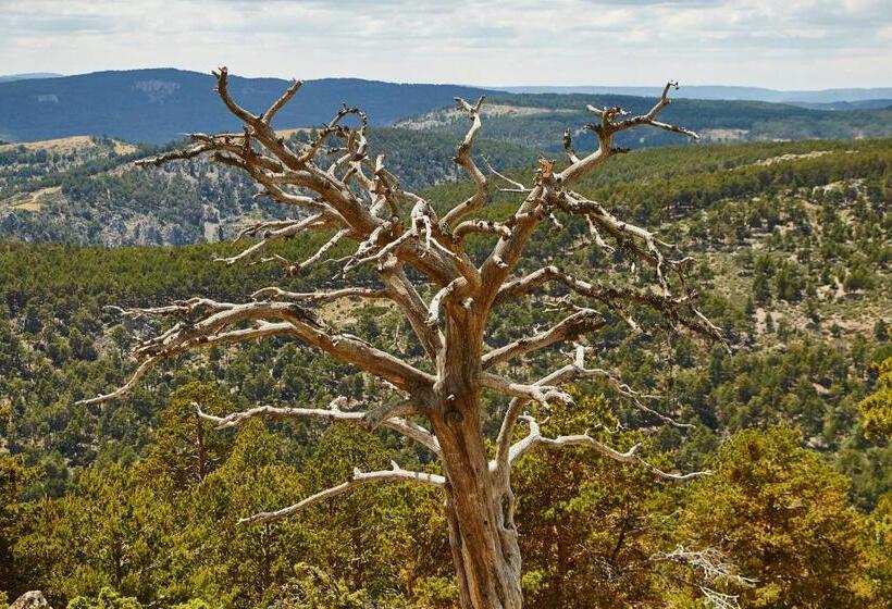 בית מלון כפרי Hostal Isabel