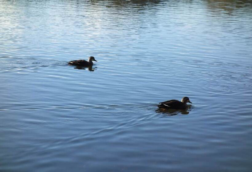 호텔 Izu Ippeki Lake Lakeside Terrace