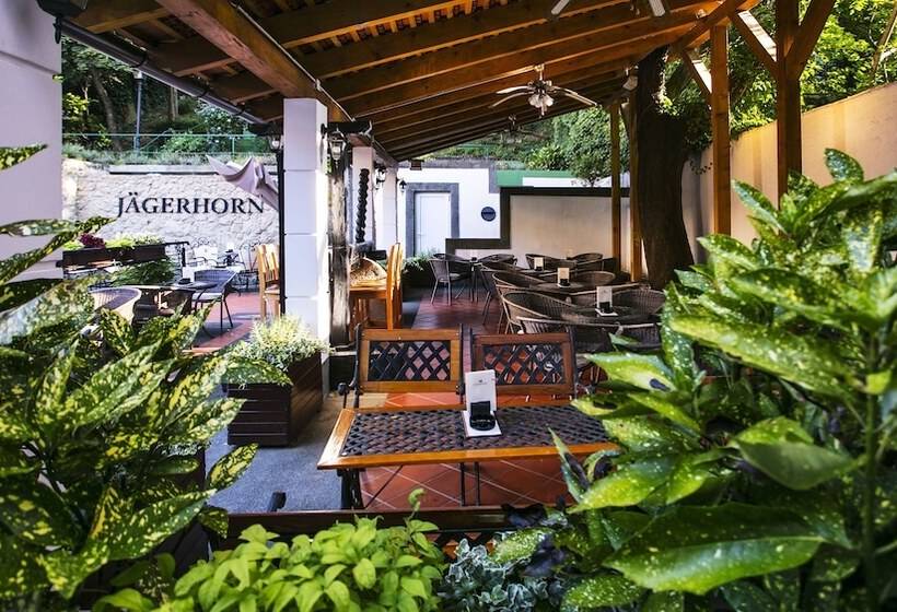 בית מלון כפרי Jagerhorn