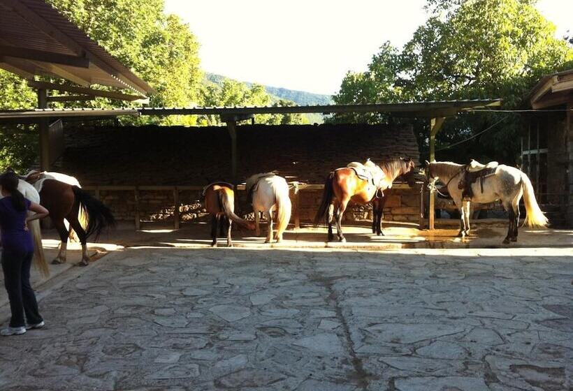 בית מלון כפרי Los Nogales