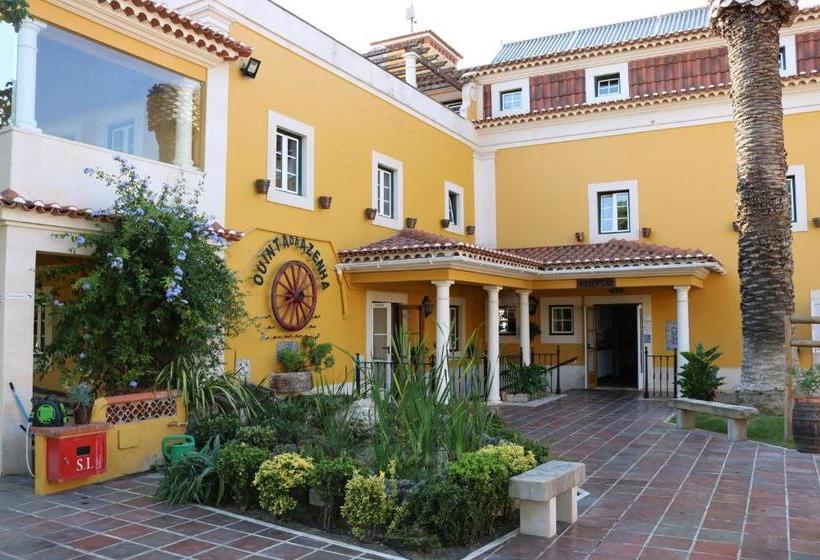 酒店 Quinta Da Azenha óbidos