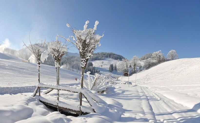 Alpenparks Hotel & Apartment Taxacher