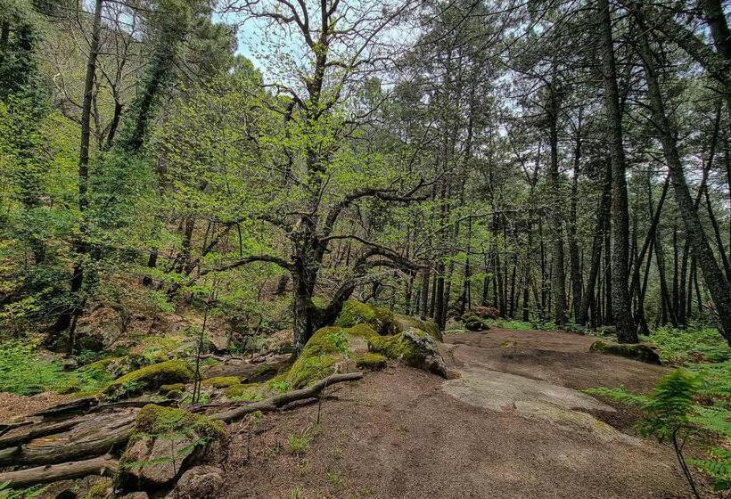 בית מלון כפרי Eras Del Poeta