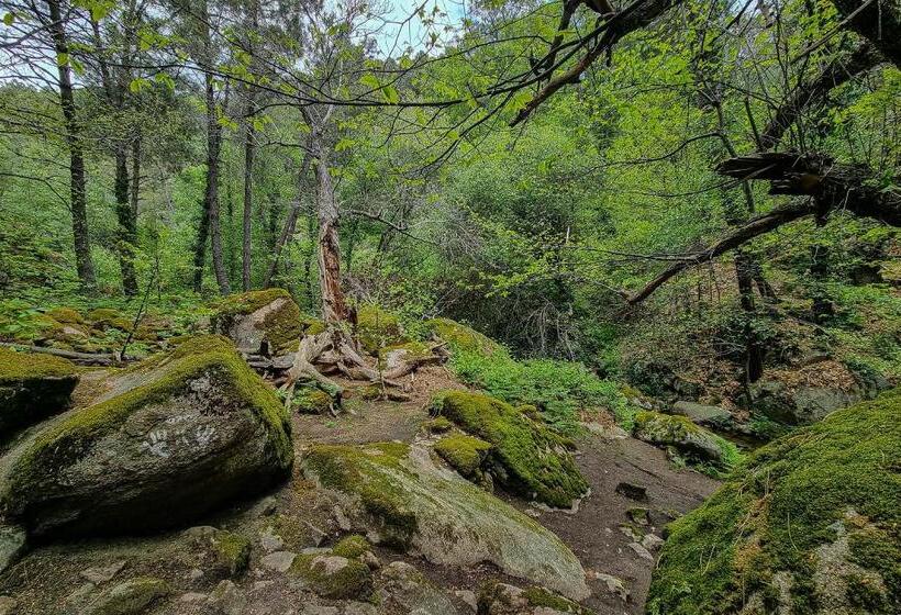 בית מלון כפרי Eras Del Poeta