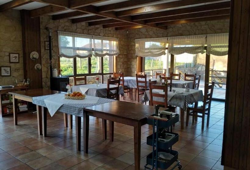 בית מלון כפרי Rústico Prado Da Viña