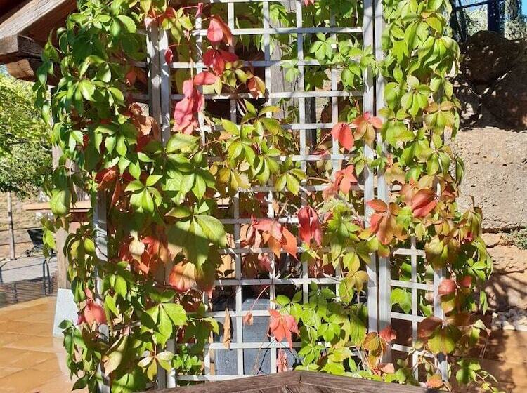 فندق ريفى Rural Castillo De Somaén