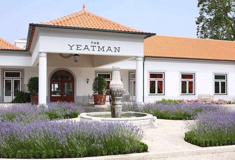 فندق The Yeatman