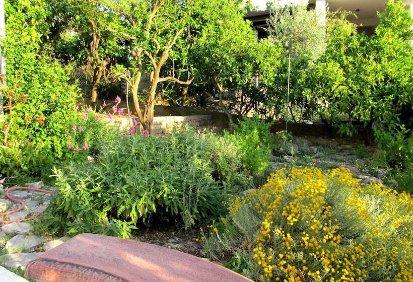 בית מלון כפרי Villa Pape