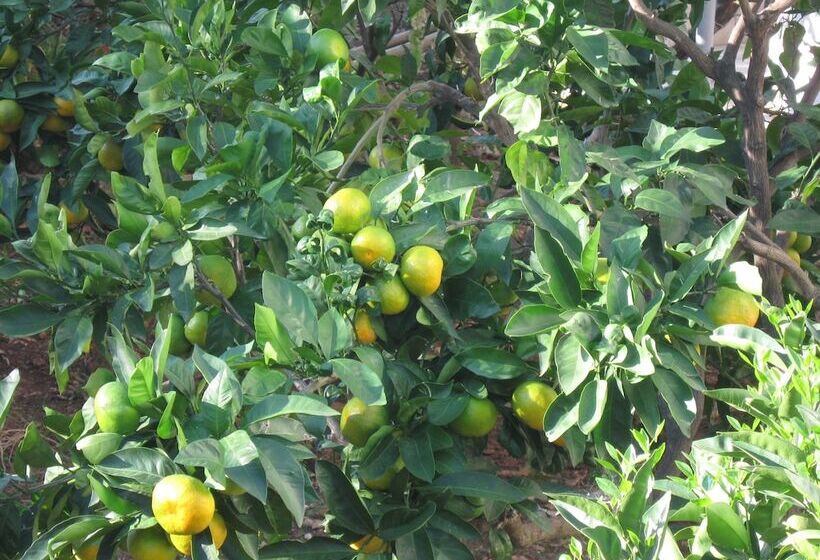 בית מלון כפרי Villa Pape