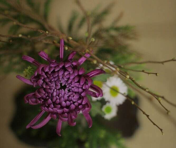 Отель Yoshidaya Sannoukaku